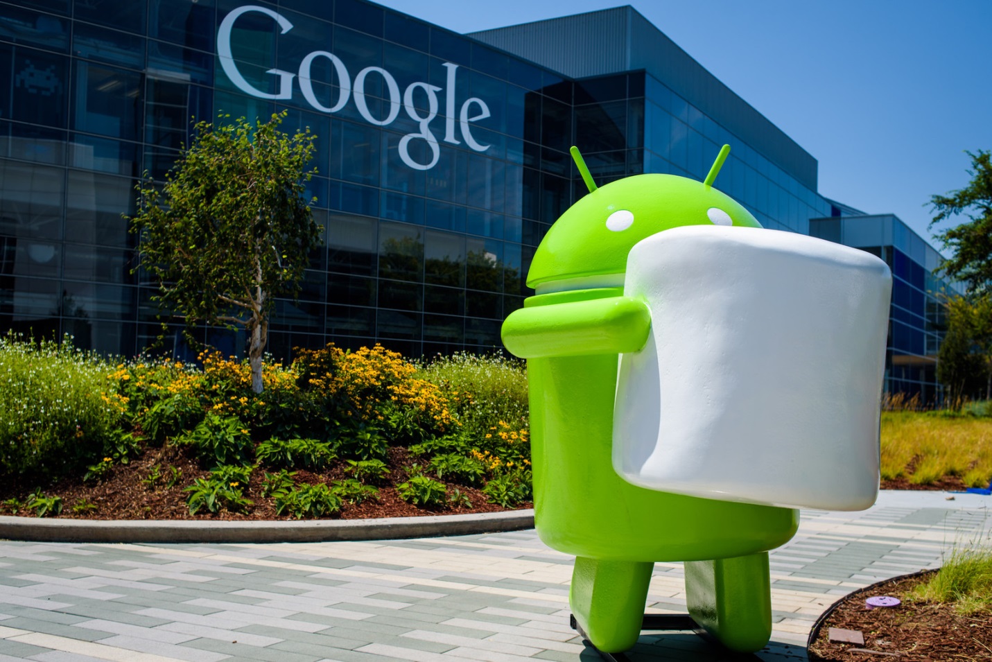 Google попросил производителей обновить Android-прошивки